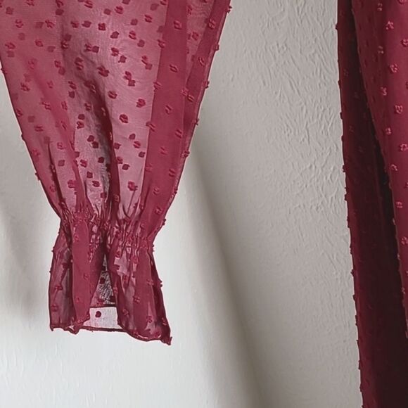 BTFBM Burgundy Dotted Swiss Maxi-Dress with Ruffled Hemline, Size Medium - Picture 4 of 11